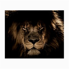 African Lion Mane Close Eyes Small Glasses Cloth (2 Sides) by Ket1n9