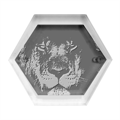 African Lion Mane Close Eyes Hexagon Wood Jewelry Box by Ket1n9