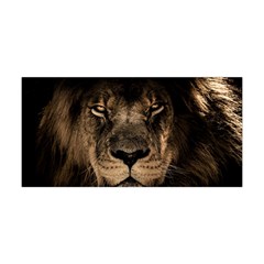 African Lion Mane Close Eyes Yoga Headband by Ket1n9