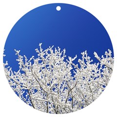 Crown Aesthetic Branches Hoarfrost Uv Print Acrylic Ornament Round by Ket1n9