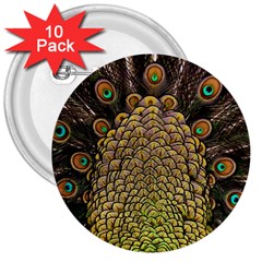 Peacock Feathers Wheel Plumage 3  Buttons (10 Pack)  by Ket1n9