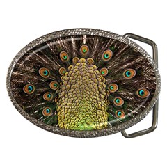 Peacock Feathers Wheel Plumage Belt Buckles by Ket1n9