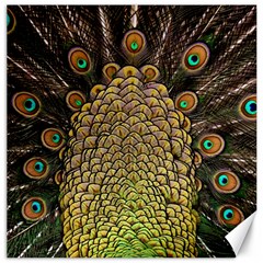 Peacock Feathers Wheel Plumage Canvas 12  X 12  by Ket1n9