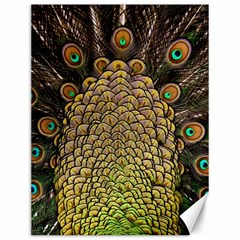 Peacock Feathers Wheel Plumage Canvas 12  X 16  by Ket1n9