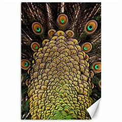 Peacock Feathers Wheel Plumage Canvas 12  X 18  by Ket1n9