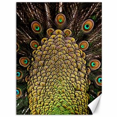 Peacock Feathers Wheel Plumage Canvas 36  X 48  by Ket1n9