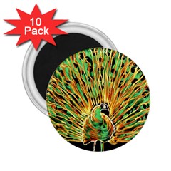 Unusual Peacock Drawn With Flame Lines 2 25  Magnets (10 Pack)  by Ket1n9