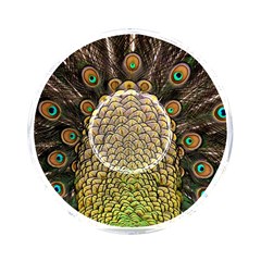 Peacock Feathers Wheel Plumage On-the-go Memory Card Reader