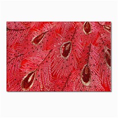 Red Peacock Floral Embroidered Long Qipao Traditional Chinese Cheongsam Mandarin Postcard 4 x 6  (Pkg of 10)