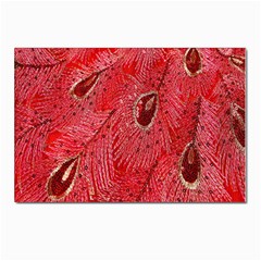 Red Peacock Floral Embroidered Long Qipao Traditional Chinese Cheongsam Mandarin Postcards 5  x 7  (Pkg of 10)