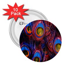 Pretty Peacock Feather 2 25  Buttons (10 Pack)  by Ket1n9