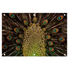 Peacock Feathers Wheel Plumage Banner And Sign 6  X 4  by Ket1n9