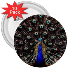 Peacock 3  Buttons (10 Pack)  by Ket1n9