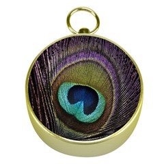 Peacock Feather Gold Compasses by Ket1n9
