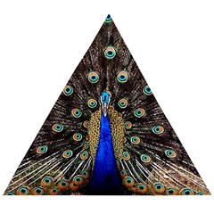 Peacock Wooden Puzzle Triangle by Ket1n9