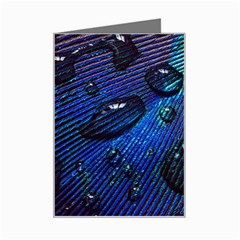 Peacock Feather Retina Mac Mini Greeting Card by Ket1n9