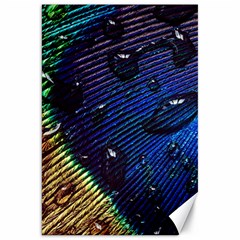 Peacock Feather Retina Mac Canvas 20  X 30  by Ket1n9