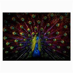 Beautiful Peacock Feather Large Glasses Cloth (2 Sides) by Ket1n9