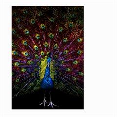 Beautiful Peacock Feather Large Garden Flag (two Sides) by Ket1n9