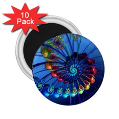 Top Peacock Feathers 2 25  Magnets (10 Pack)  by Ket1n9