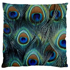 Feathers Art Peacock Sheets Patterns Standard Premium Plush Fleece Cushion Case (two Sides) by Ket1n9