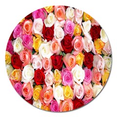 Rose Color Beautiful Flowers Magnet 5  (round) by Ket1n9