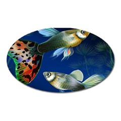 Marine Fishes Oval Magnet by Ket1n9