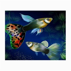 Marine Fishes Small Glasses Cloth (2 Sides) by Ket1n9