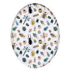 Insect Animal Pattern Oval Glass Fridge Magnet (4 Pack) by Ket1n9