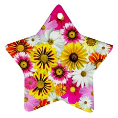 Flowers Blossom Bloom Nature Plant Ornament (star)