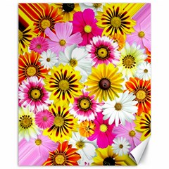 Flowers Blossom Bloom Nature Plant Canvas 11  X 14 