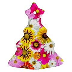 Flowers Blossom Bloom Nature Plant Christmas Tree Ornament (two Sides) by Hannah976