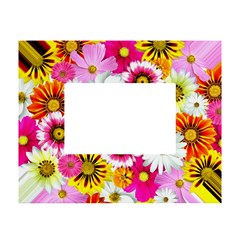 Flowers Blossom Bloom Nature Plant White Tabletop Photo Frame 4 x6  by Hannah976
