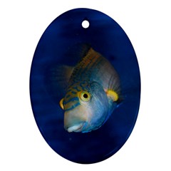 Fish Blue Animal Water Nature Ornament (oval)