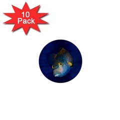 Fish Blue Animal Water Nature 1  Mini Buttons (10 Pack) 
