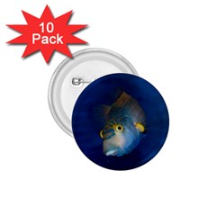 Fish Blue Animal Water Nature 1 75  Buttons (10 Pack)