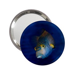 Fish Blue Animal Water Nature 2 25  Handbag Mirrors