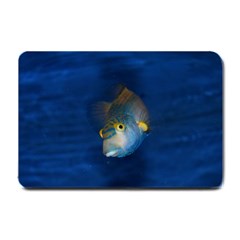 Fish Blue Animal Water Nature Small Doormat