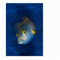 Fish Blue Animal Water Nature Large Garden Flag (two Sides) by Hannah976