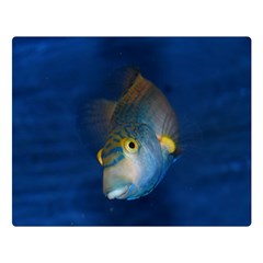 Fish Blue Animal Water Nature Premium Plush Fleece Blanket (large) by Hannah976