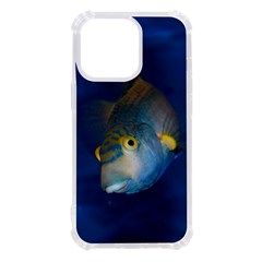 Fish Blue Animal Water Nature Iphone 13 Pro Tpu Uv Print Case by Hannah976