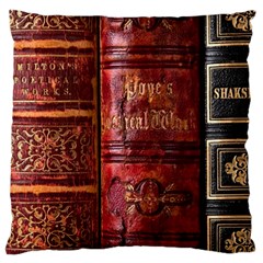 Books Old Large Cushion Case (Two Sides)