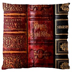 Books Old Large Premium Plush Fleece Cushion Case (One Side)