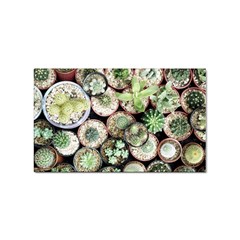 Cactus Nature Plant Desert Sticker (Rectangular)