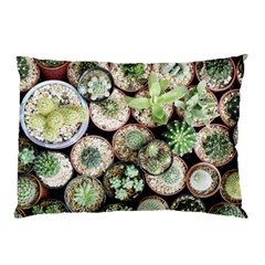 Cactus Nature Plant Desert Pillow Case (Two Sides)