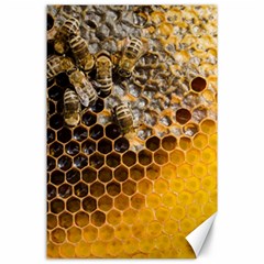 Honeycomb With Bees Canvas 24  X 36  by Bedest