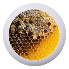 Honeycomb With Bees Dento Box With Mirror