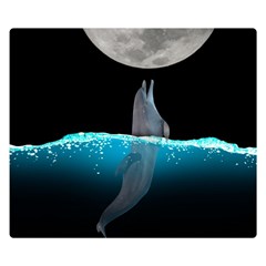 Dolphin Moon Water Two Sides Premium Plush Fleece Blanket (small) by Ndabl3x