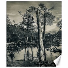 Dry Forest Landscape, Tierra Del Fuego, Argentina Canvas 8  X 10  by dflcprintsclothing