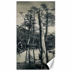 Dry Forest Landscape, Tierra Del Fuego, Argentina Canvas 40  X 72  by dflcprintsclothing